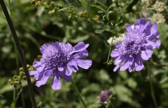 8月12日13日14日 超级好运3星座 福气临门 财运亨通 横财不断 不愁钱花 微头条