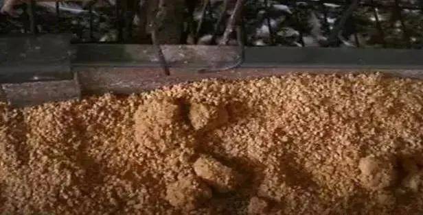 养殖业|霉菌毒素为什么是隐性杀手？看看它的这五大特点就知道