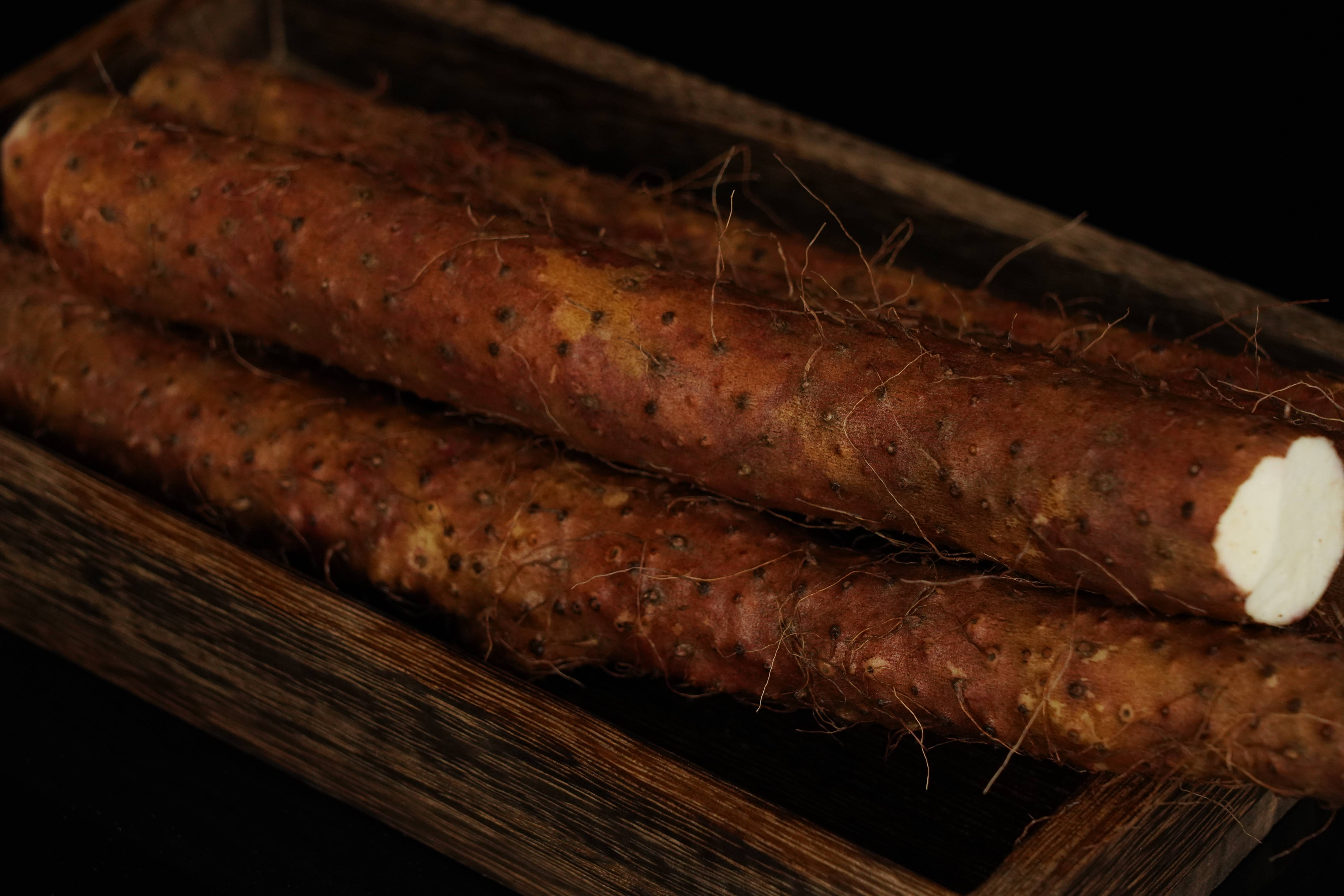 看看正宗的垆土铁棍山药