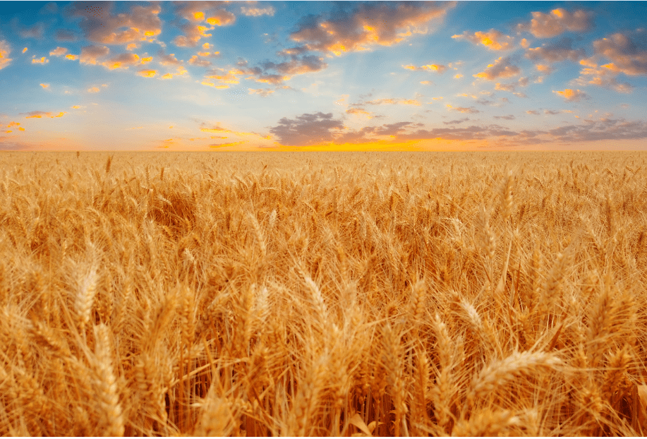 芒种歌曲完整版最新 60cbb27e81b24d6aae2899614bb76dbc.png