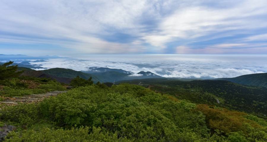 815全民家电消费日，这场家电节日将给行业带来什么？-家电圈官网
