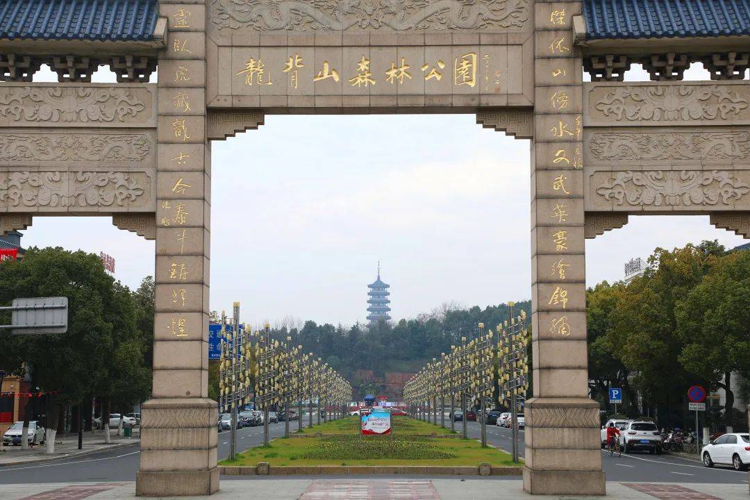 宜兴|龙背山森林公园