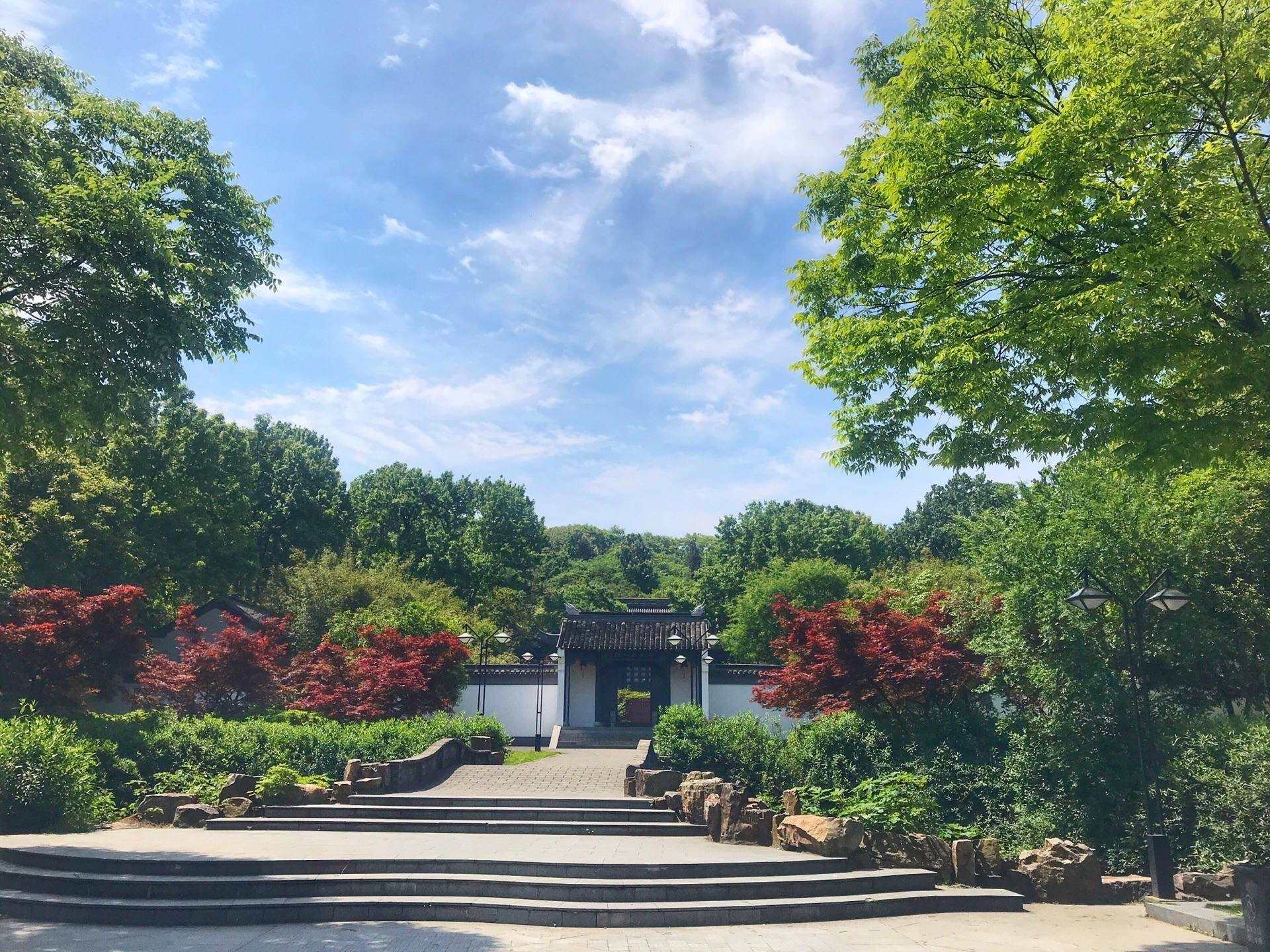 宜兴|龙背山森林公园