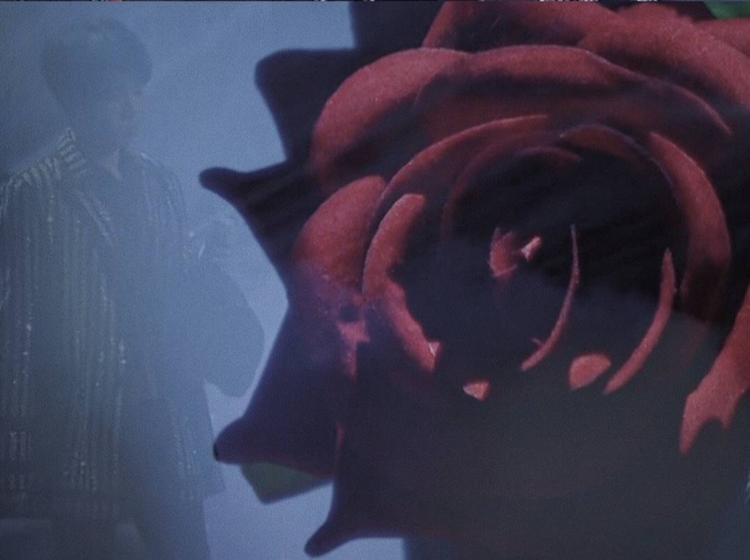 花花|【七夕特辑】盘点那些年华晨宇唱过的情歌