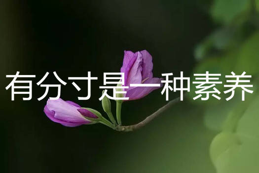 有分寸是一种素养老话常说:"做菜讲究火候,做人注意分寸".