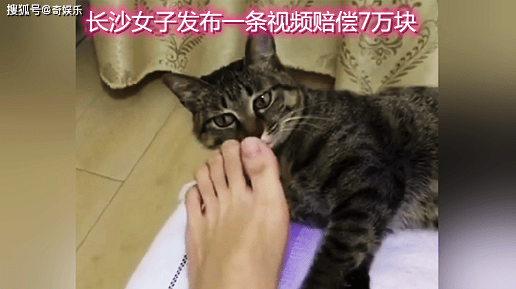 长沙女子发布小猫闻臭脚视频,被某品牌企业起诉索赔20万,还遭舆论
