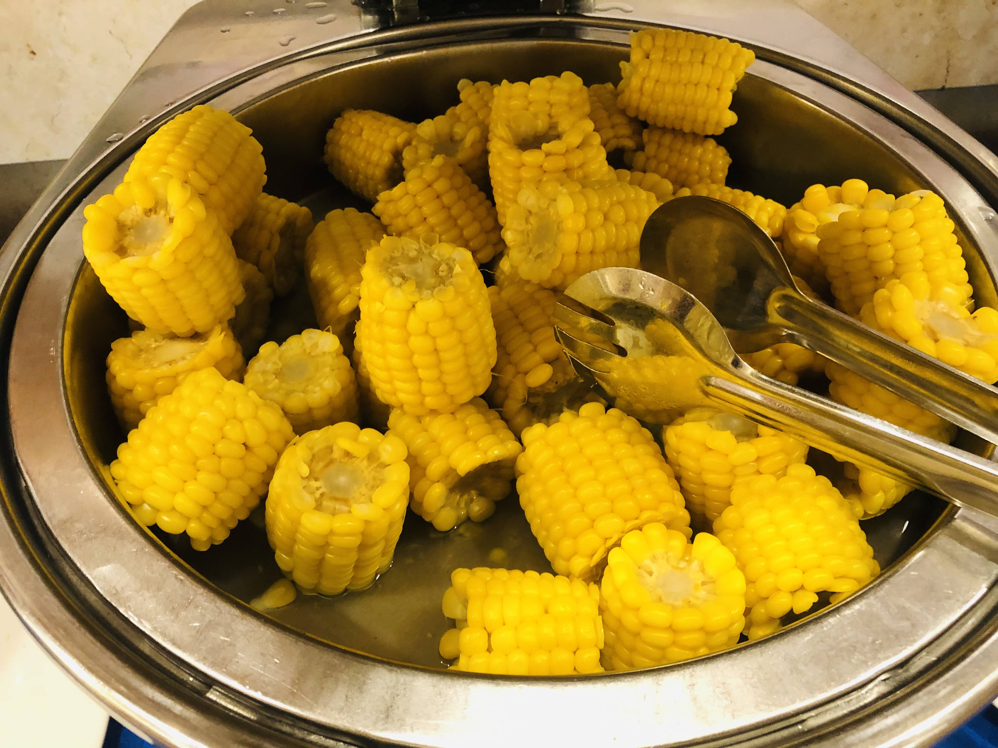 从化|从化半年总结会,团建公园,户外徒步,篝火,财富酒店2天团