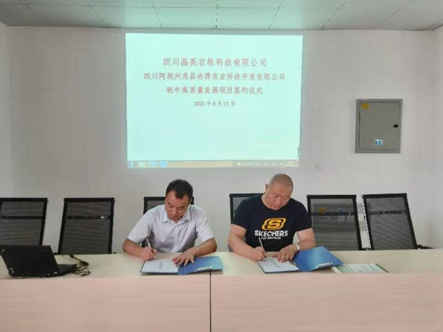 牛羊|茂縣冉莽農業科技公司： 結親晶英農牧 助力牧區牛羊越冬渡春