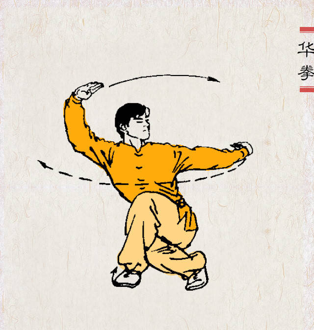 武术百科 中国武术传统拳种之华拳