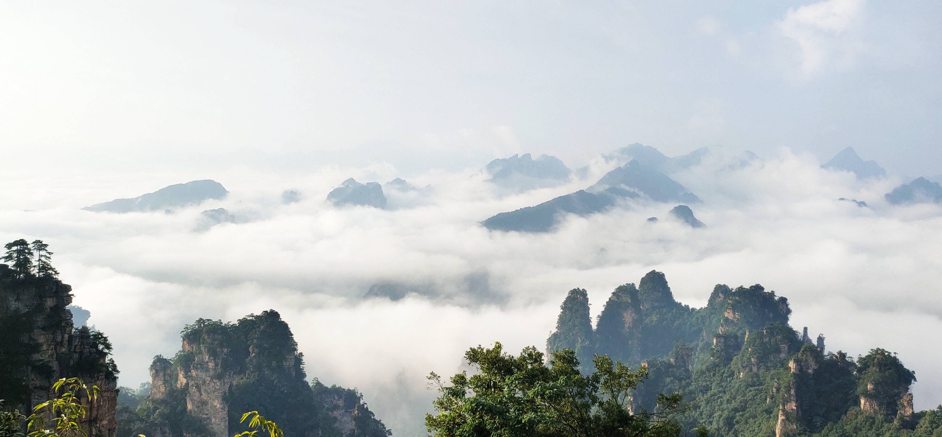 张家界武陵源:初秋云海静等"疫"散