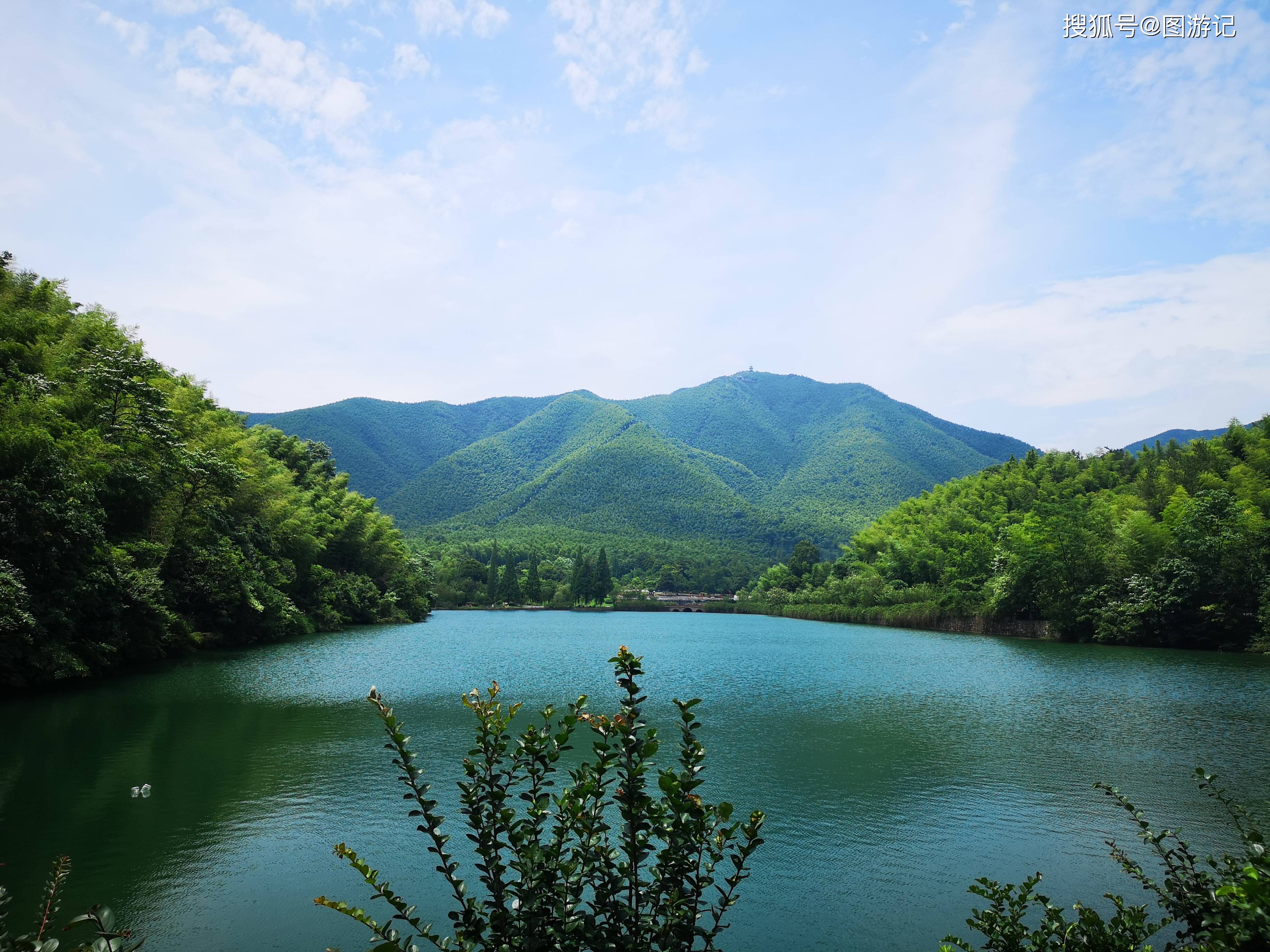 消息资讯|夏日旅游，行走竹海，一个清凉的世界