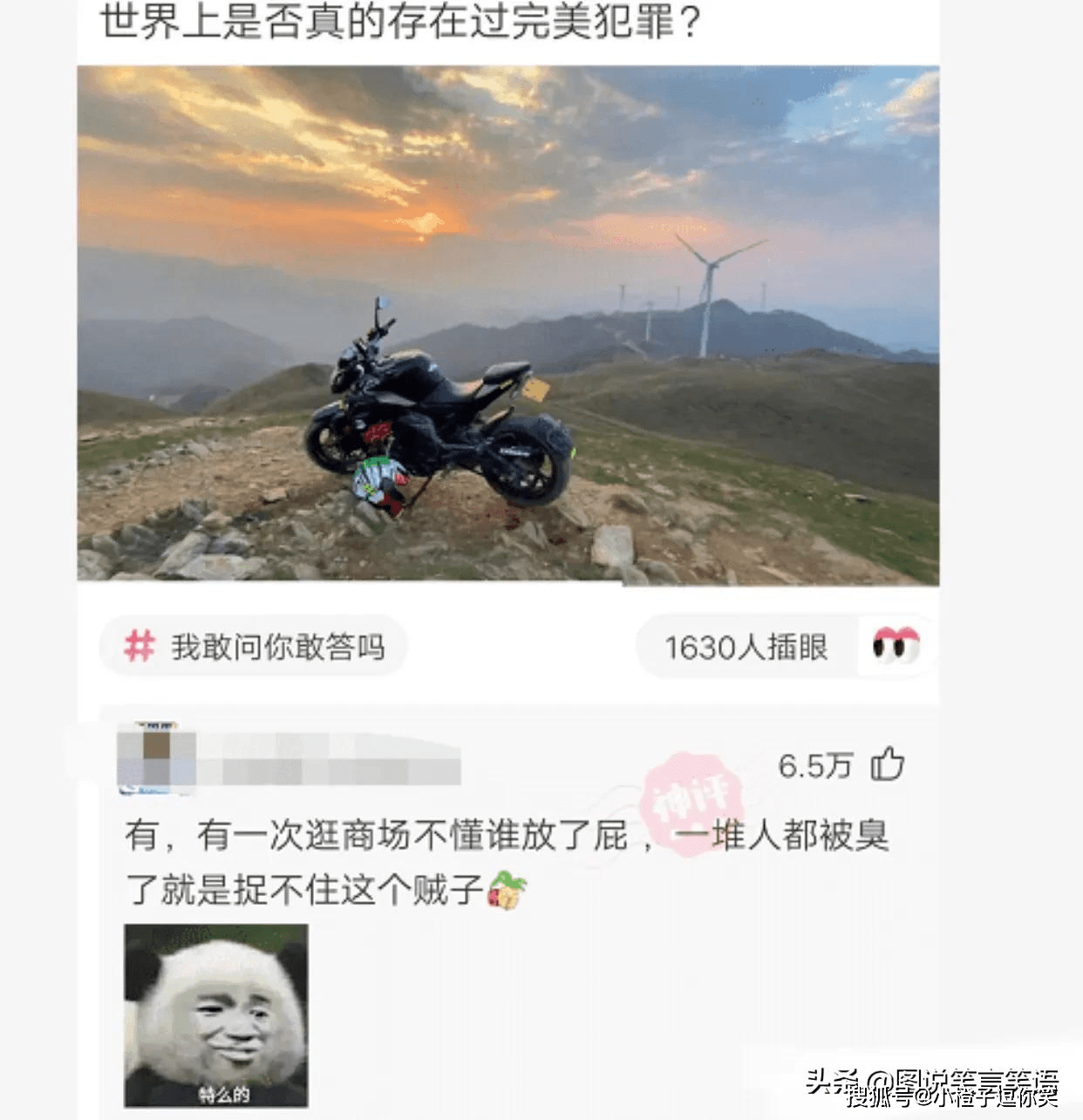 爆笑第12期：那些意想不到的大神評論. 搞笑整蠱 第3张