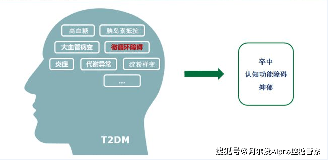 进行|《糖尿病患者认知功能障碍专家共识》摘要