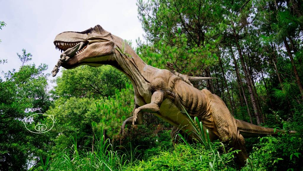 清远｜省内最大、最集中的3000多株桫椤群，还有一堆恐龙