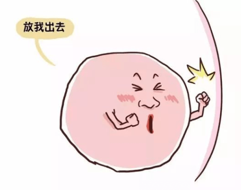 什么原因导致月经不来了呢 183432a8d08d4f3a8d0cdaa888a6038e.png