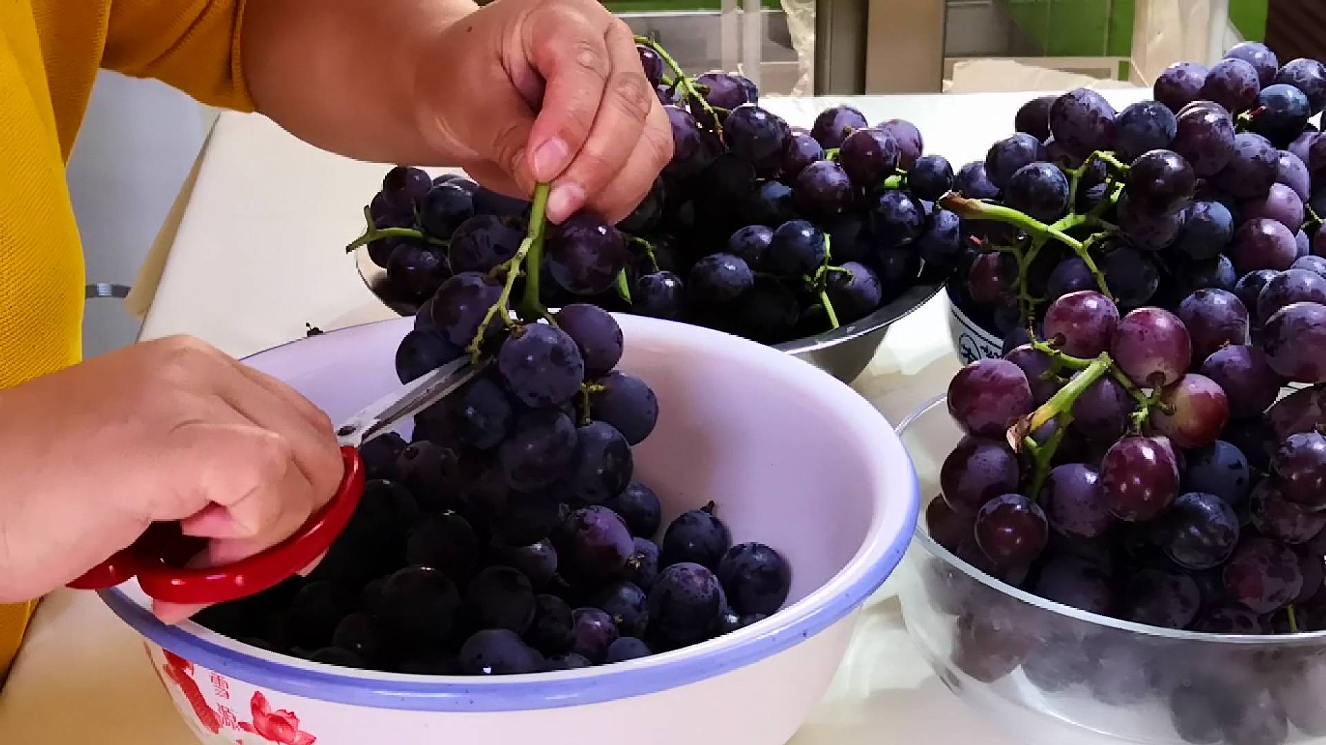 做法|初秋，80岁奶奶叮嘱：要常吃葡萄，教你正确做法，看看你吃对了吗