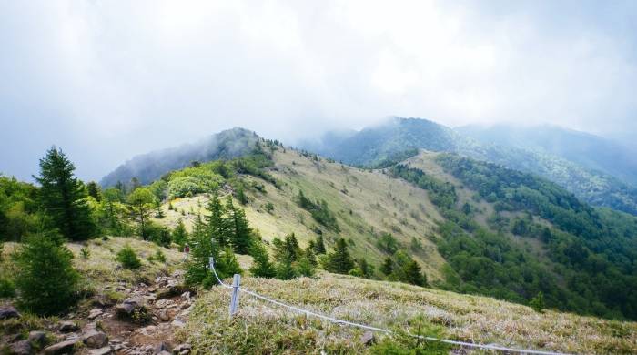 修家电的生意快没了，那么二手家电、翻新机还有多少机会？-家电圈官网