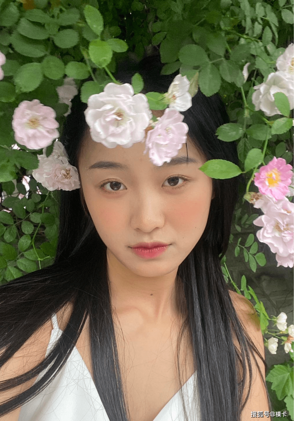通告|模卡 推荐艺人：still