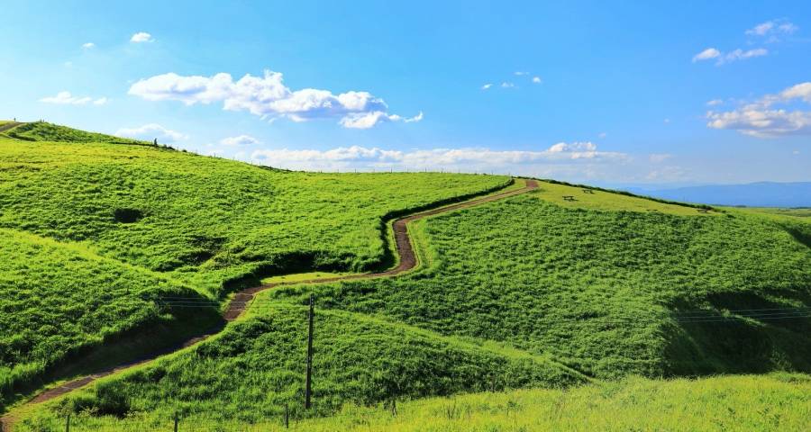 今年十一大促家电企业要这样干-家电圈官网