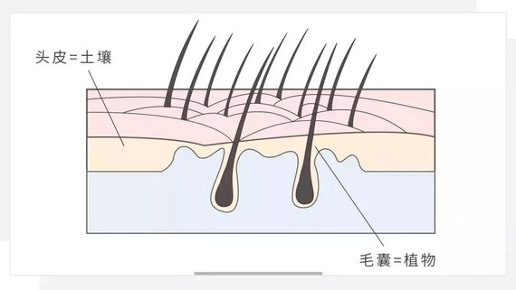 03f1e3e09ec44371a9e91db0f4067245.png