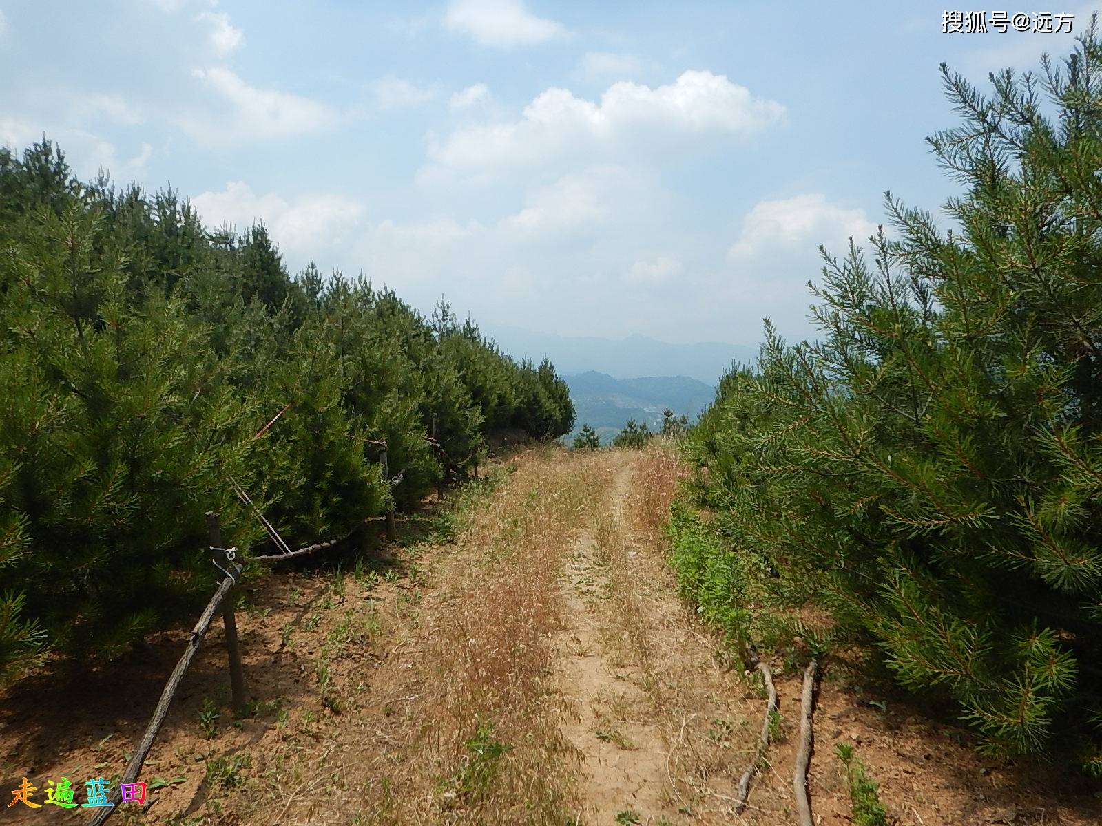 走遍藍田2021小寨鎮黑巖溝村穿越旅行3