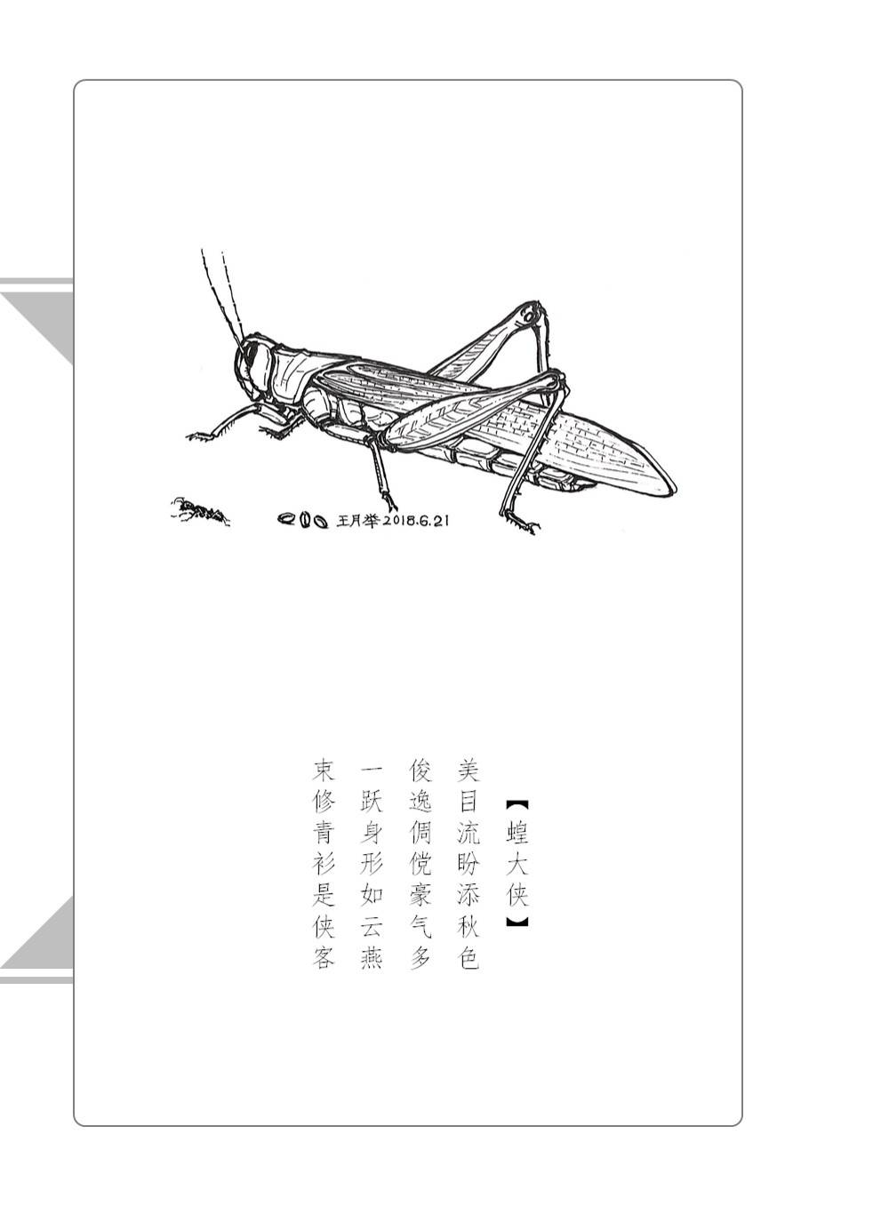 王月举钢笔画图片