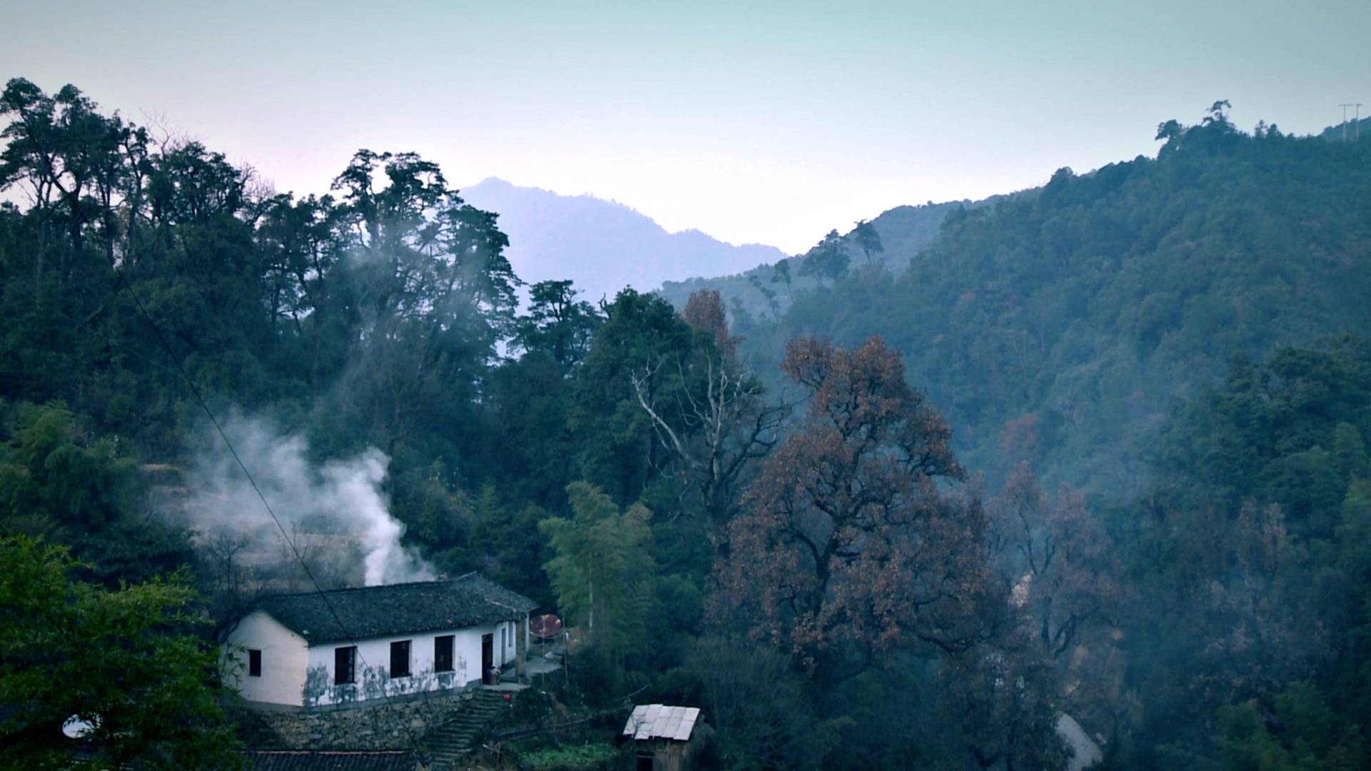 寻味陆川中国最土最香的猪肉