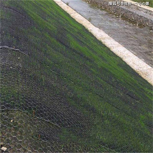 挂网,格构等)相结合,可有效实现坡面的生态植被恢复与防护