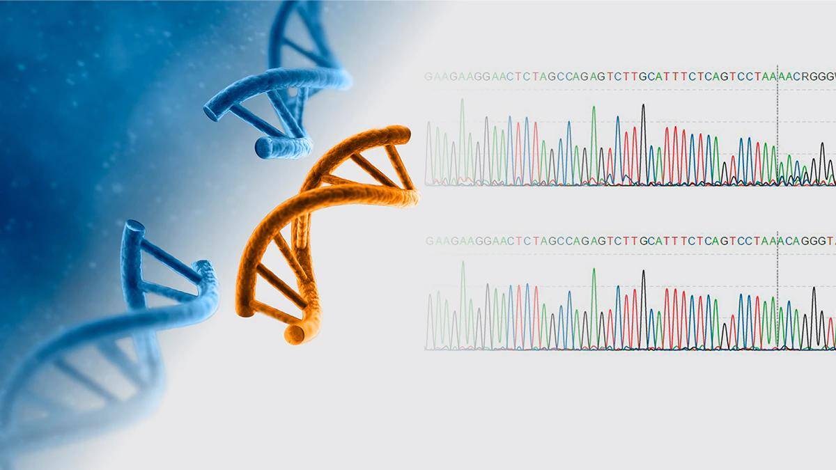 原创疯狂!可改变人类独一无二的dna,详解crispr-cas9基因编辑技术
