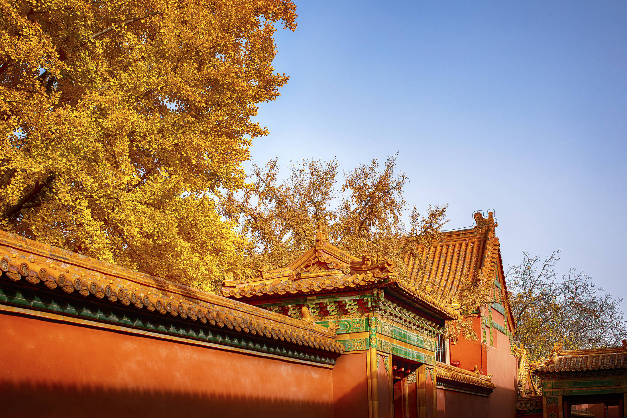 摄影师唐瑜键:京城"皇家"秋色浓