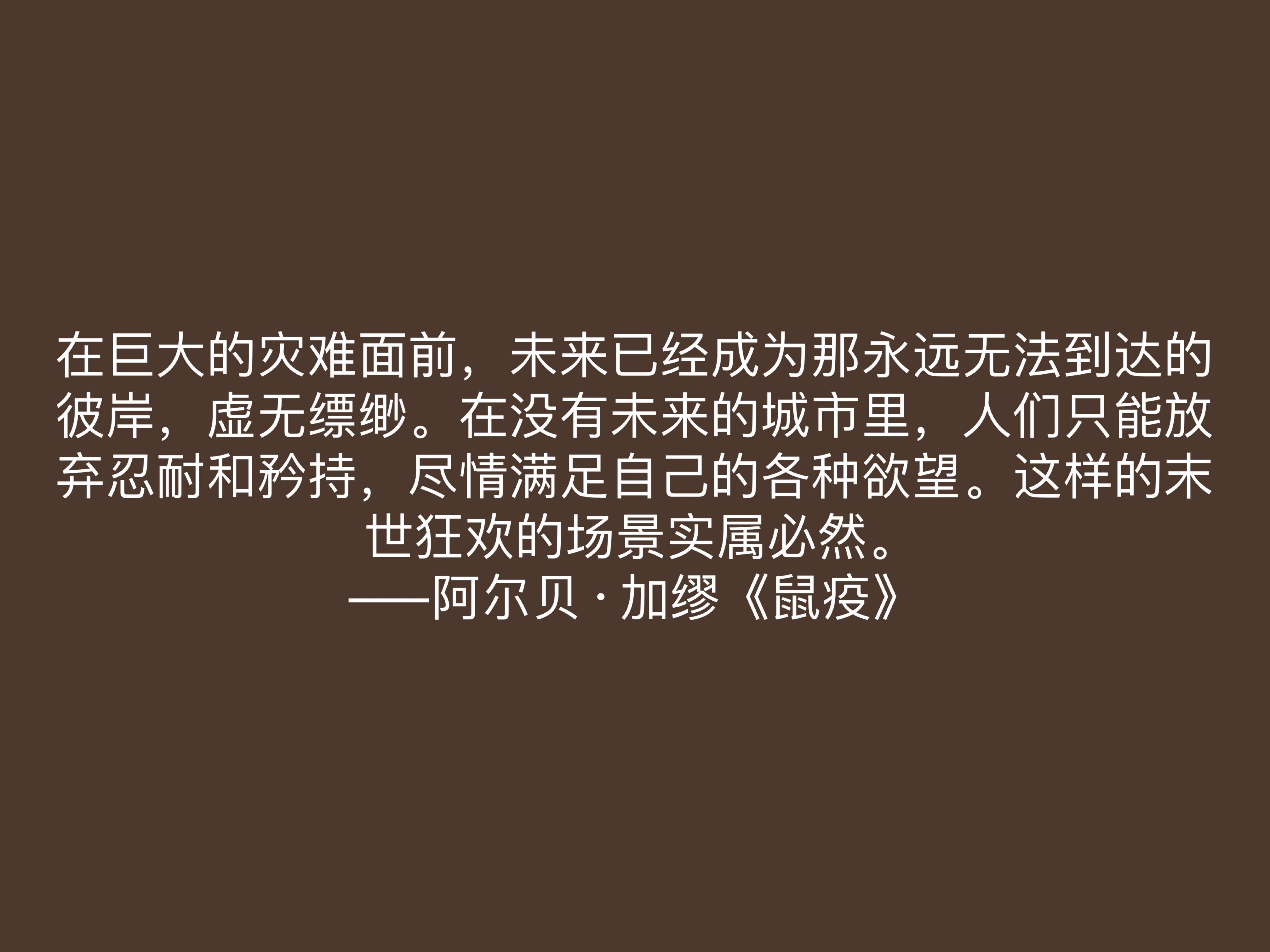 法国大作家加缪 小说 鼠疫 十句格言 充满人生哲理 值得深悟 作品