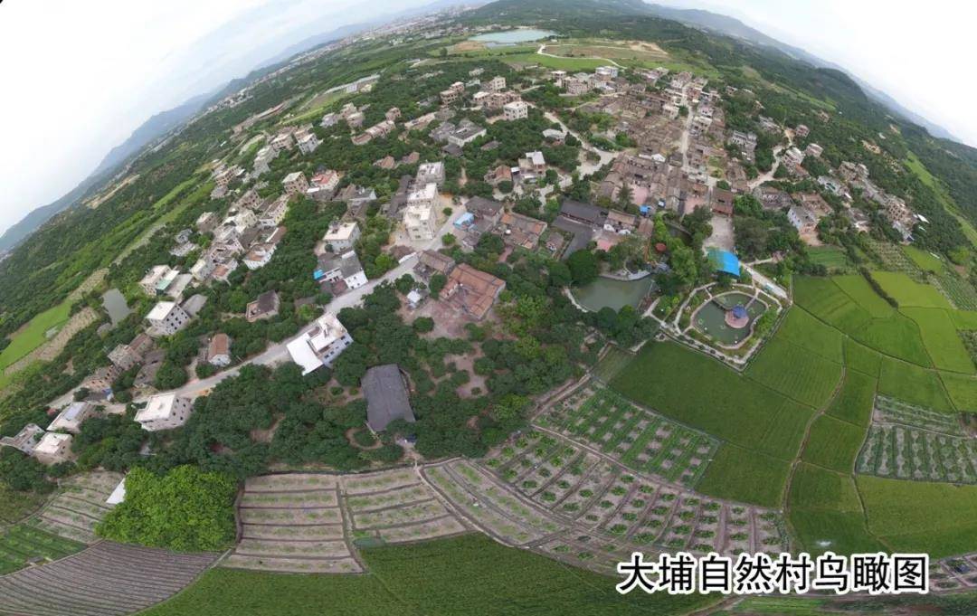 寻找美丽庭院丨串点连线成片畅游金浦乡村振兴风景线