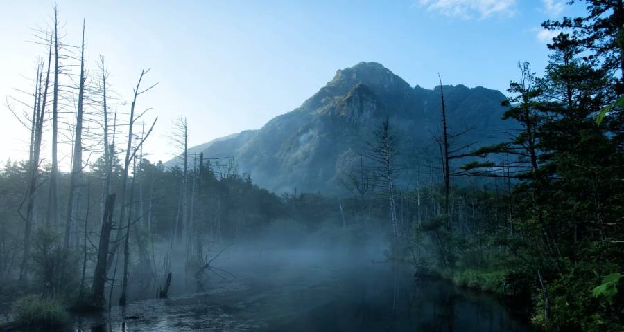 接下来家电企业的经营风险管控也要“亡羊补牢”-家电圈官网
