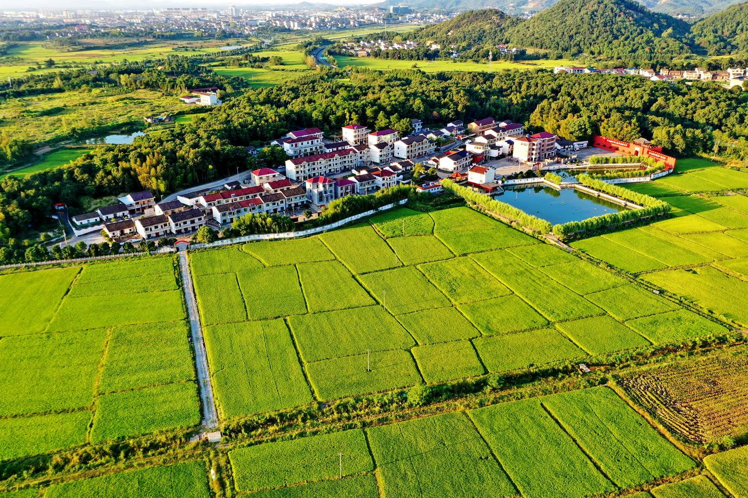 江西金溪:村美民富幸福来(组图)_新农村