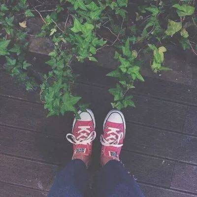 卡通 简约风格的头像|简单干净头像小清新头像|卡通可爱简单小头像|简易可爱的头像