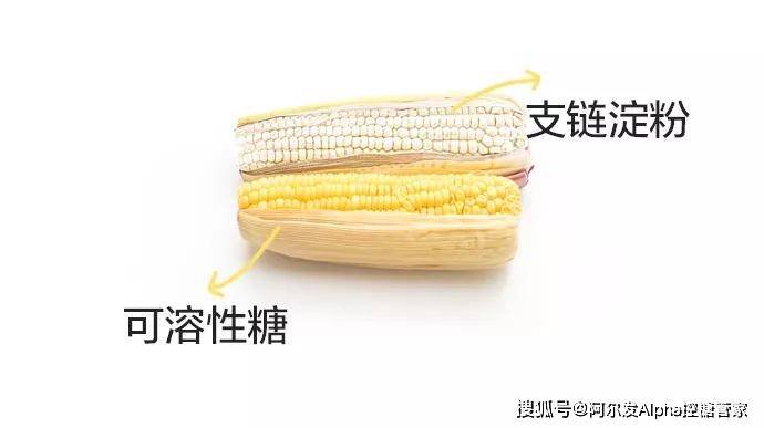 72a3b8ca2fe146e580f1d7fa454e0b60.jpeg
