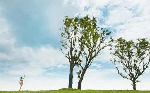 生活|你还在熬夜吗？张立阳专家：甲状腺“熬”不起！