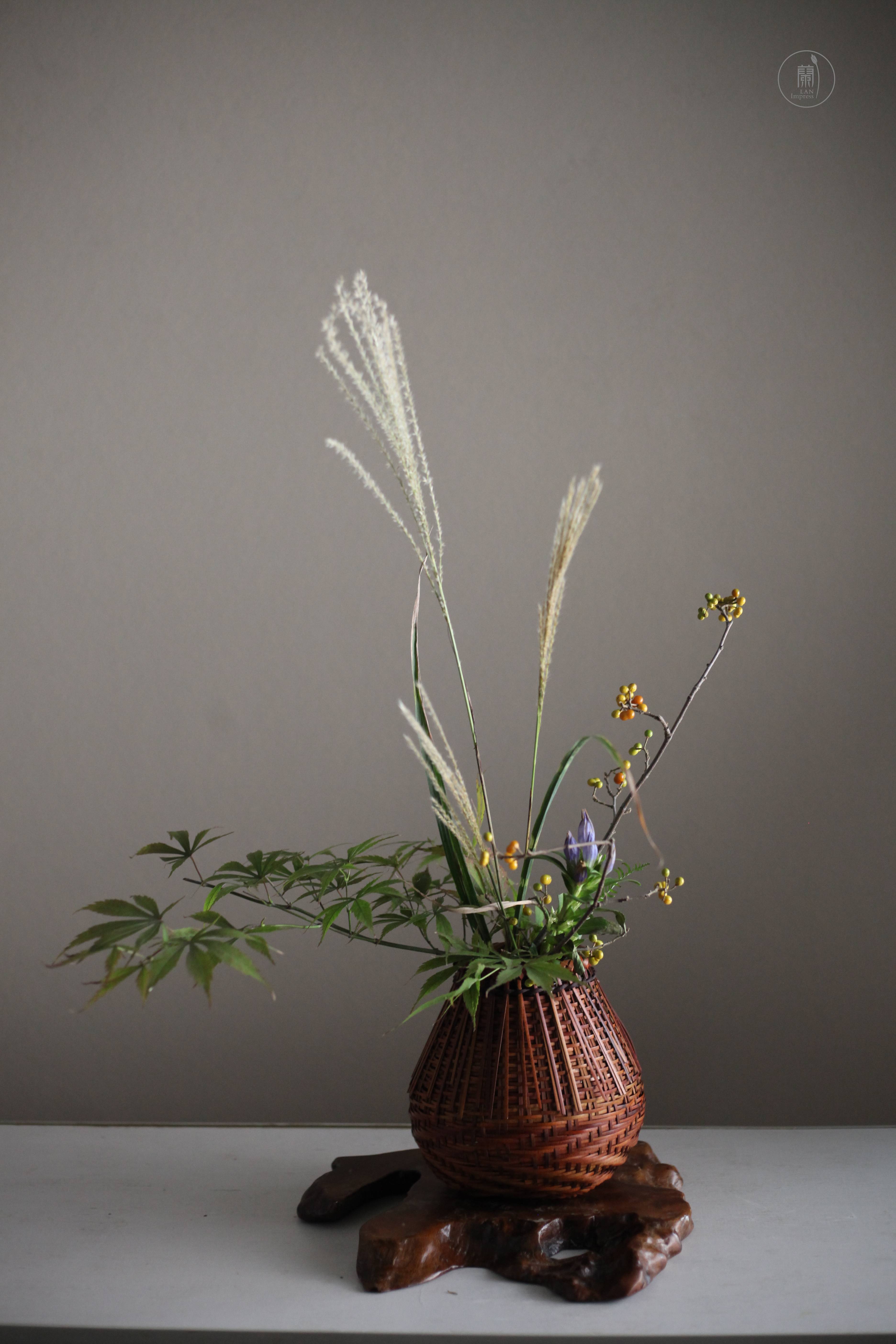 西安小原流兰印象花道秋风吹开了芦苇花