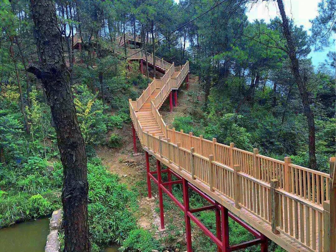 国庆郊游推荐丨逃离城市喧嚣,感受玉峰山"重庆之肺"