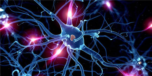 进行|运动神经元患者康复案例12