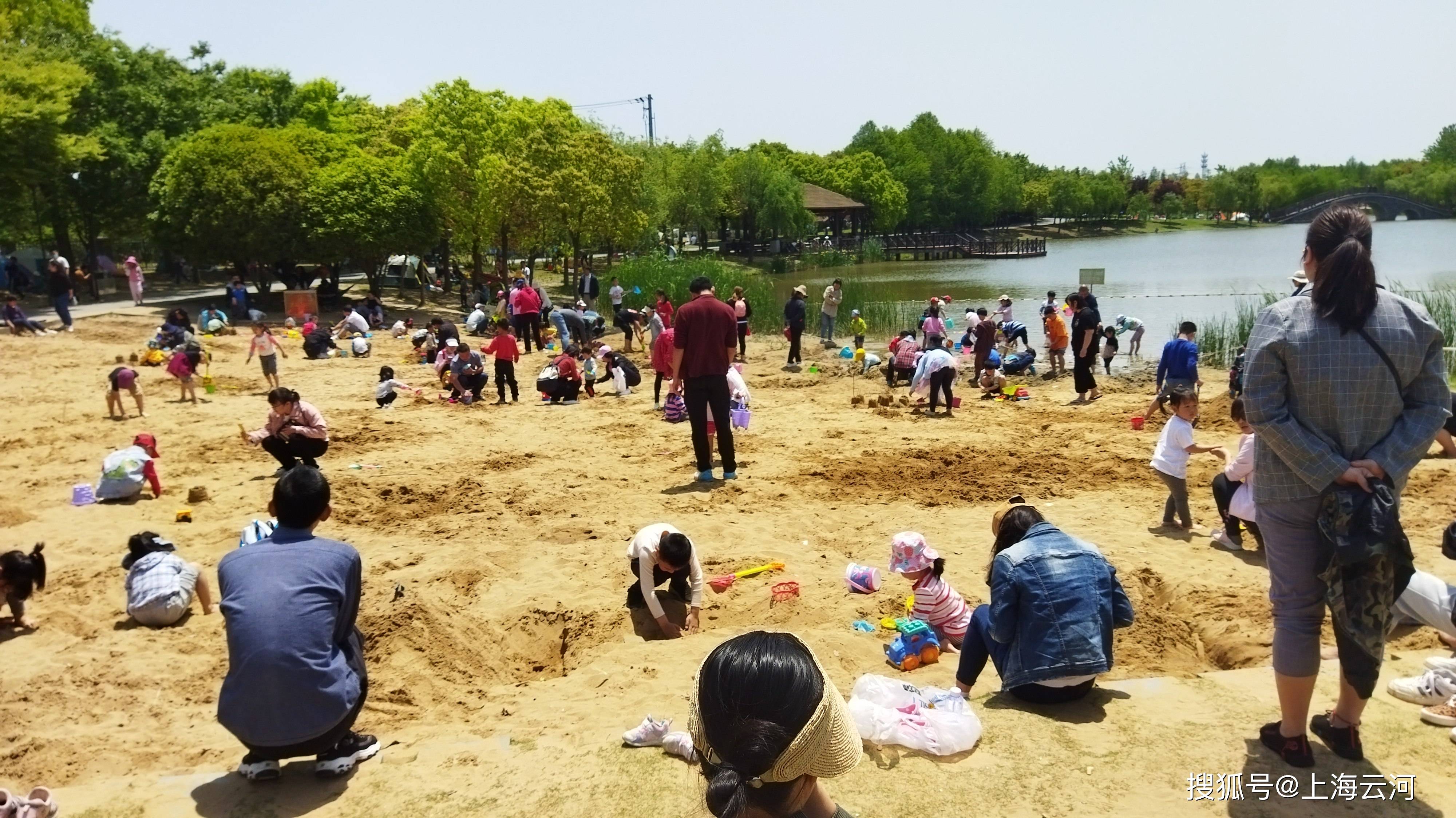 上海浦东,金海湿地公园,夏日(1)