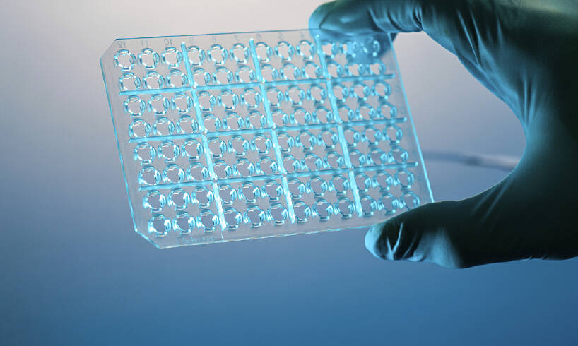 干细胞回输起什么作用