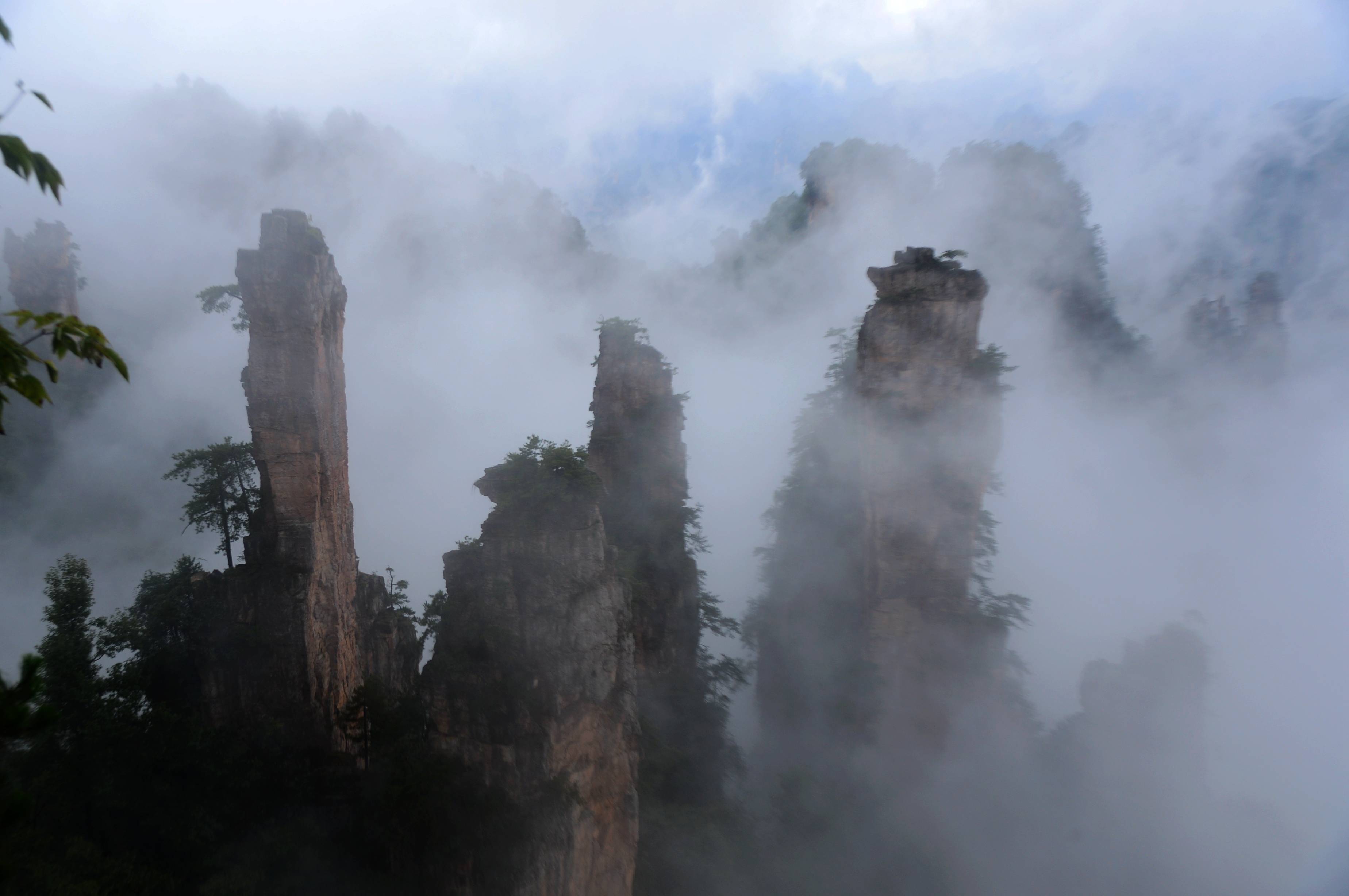 天子山御筆峰,仙女獻花,武士馴馬一帶出現壯美的秋日雲海美景,一團團