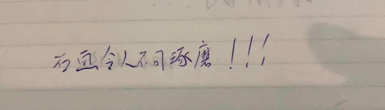 观众|拜石博物馆的“留言本”之七—— “天津打卡之地”