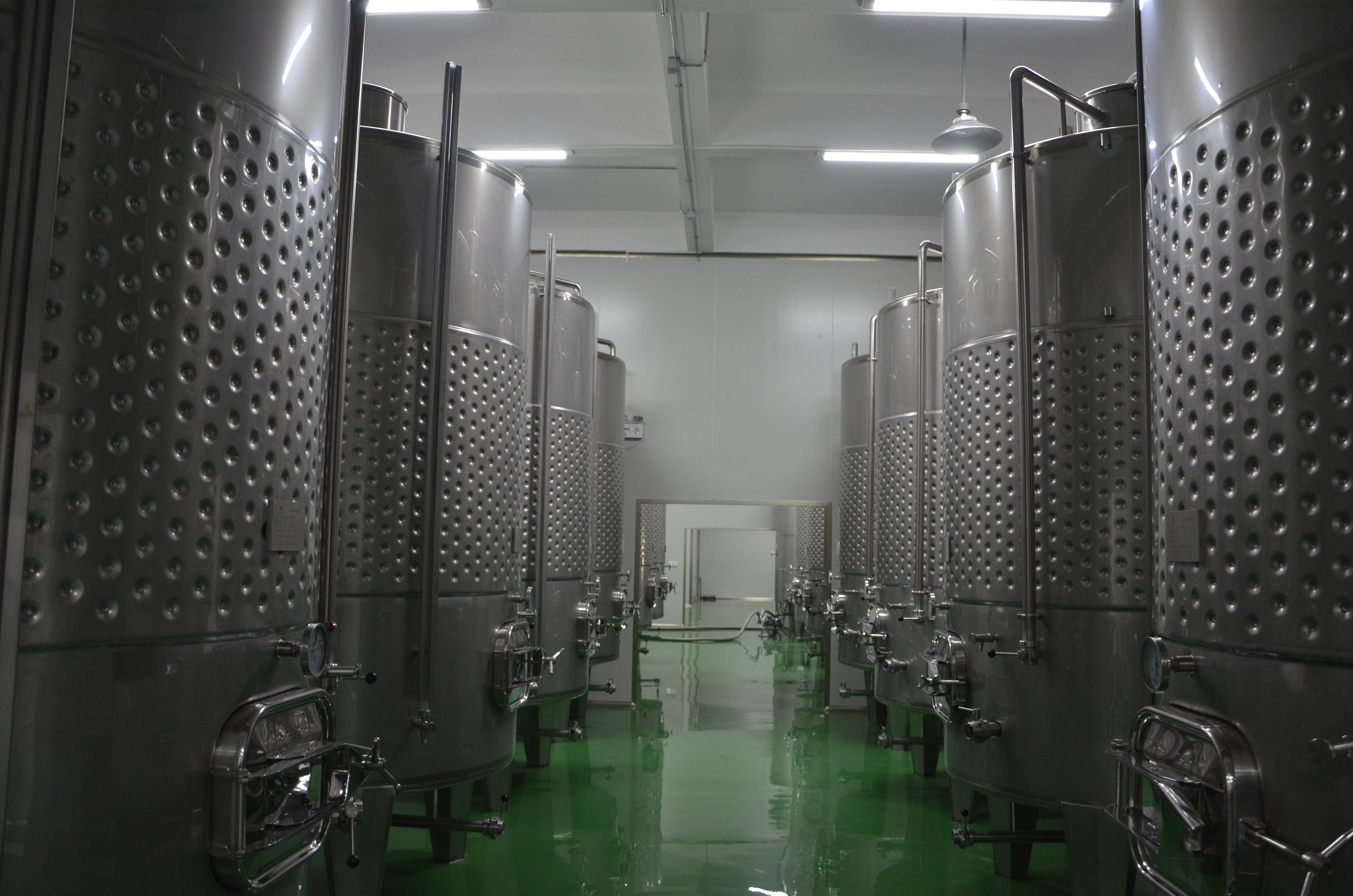 免疫力|桑葚酒与葡萄酒的营养成分对比，哪些人适合喝桑葚果红酒？