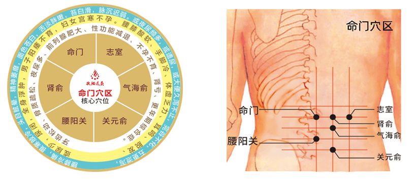 命门穴区灸法所用的原料,最初是用一般可以作为燃料的树枝等,经过一个