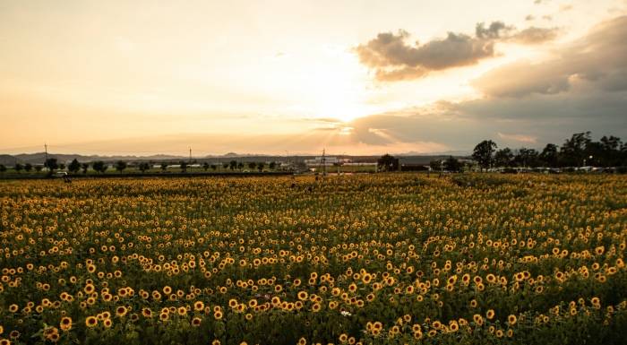 这个时候，正是家电厂商静下心在终端卖货好时光！-家电圈官网