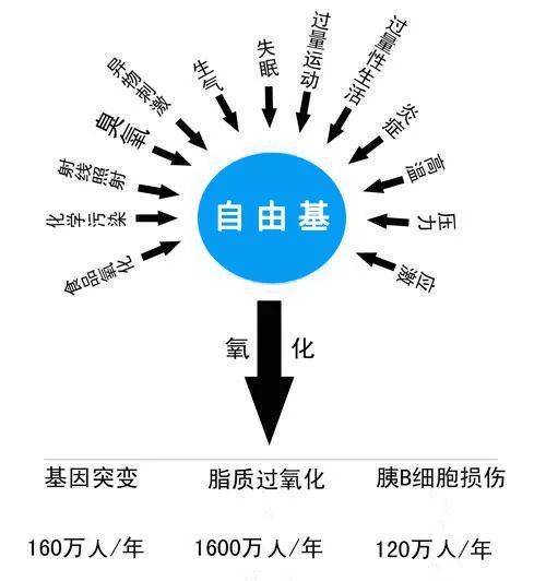 健康大講堂硒在人體老化中起到什麼作用