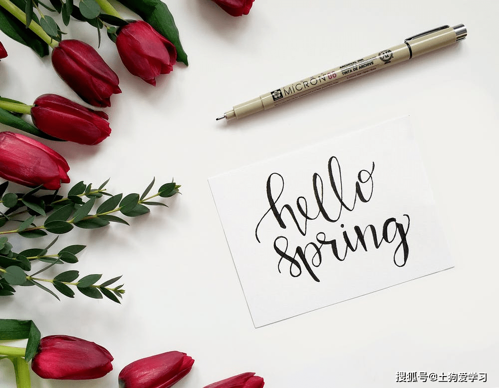 经典英文诗歌:《春》(“Spring ”)(双语)_king