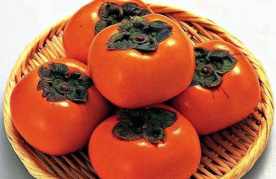 柿子不能和什么一起吃_吃柿子的12个禁忌_与柿子相克的食物表_手机搜狐网